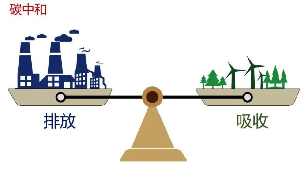 什么是碳通量？碳通量监测数据能用来做什么？